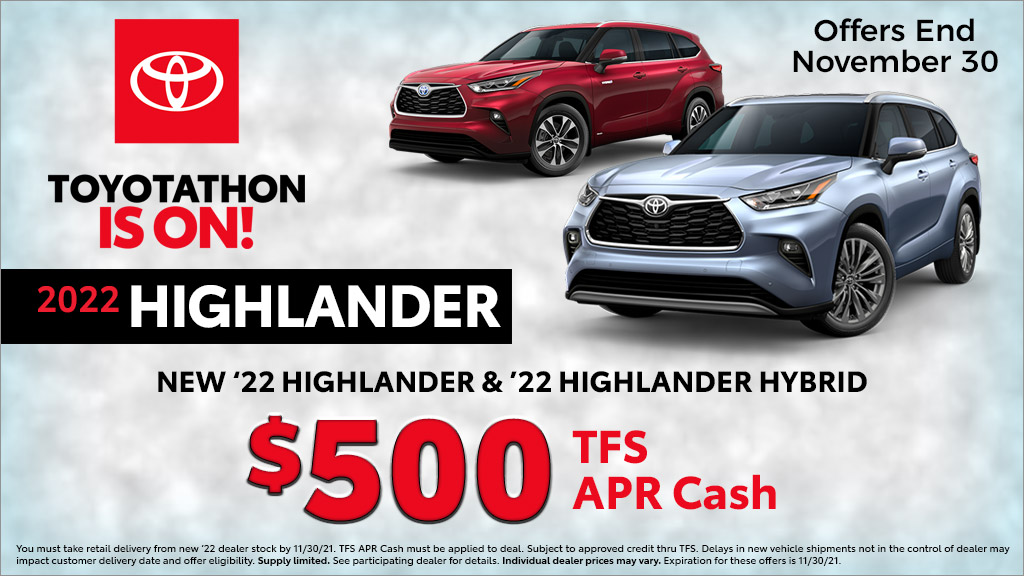 Image of a highlander