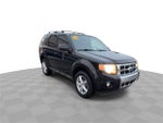 2010 Ford Escape Limited