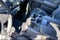 2022 Chevrolet Silverado 1500 LTD Custom Trail Boss