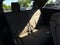 2019 Honda Pilot EX-L w/Navigation and Rear Entertainment System