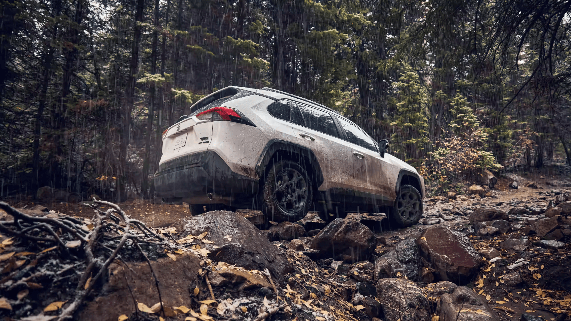 Rav4 driving on rocks in rain